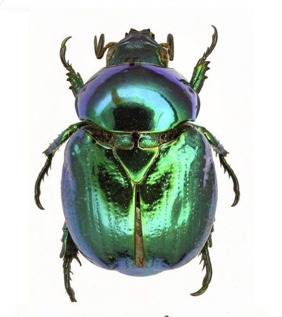 this is a bug